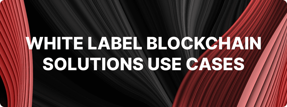 Use Cases for White Label Blockchain Solutions