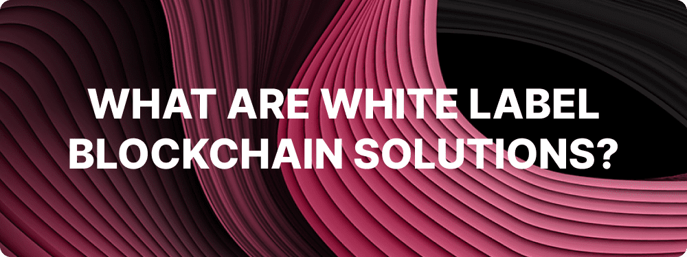 What Are White Label Blockchain Solutions?