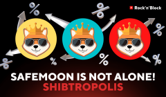 SafeMoon is not alone! Our deflationary token development — Shibtropolis